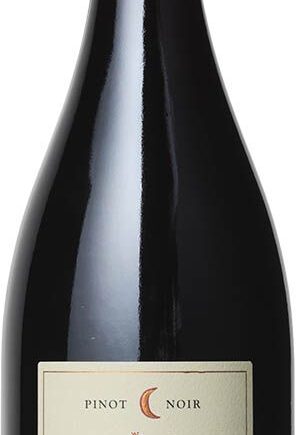 Ritual Pinot Noir 2020 – Uovertruffen Rødvin på Udsalg