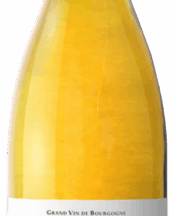 Økologisk Duplessis Chablis Montmains 2021 – Fantastisk Hvidvin!