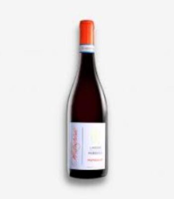 Marchisio Langhe Nebbiolo Mungalat 2023 – Frisk Vinoplevelse