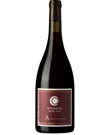 Pinot Noir Lambda 2019 Ampelos Cellars - Ampelos Cellars Wineforyou