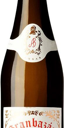 Albari Etiqueta Ambar 2023 Bodegas Granbazn - Wineforyou