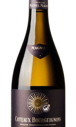 Chardonnay Coteaux Bourguignons 2021 Michel Magnien Fils - Wineforyou