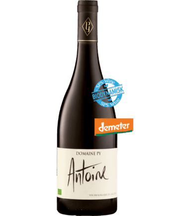 Domaine Antoine Rouge Biodynamisk Rødvin 2022 Languedoc Frankrig - Wineforyou