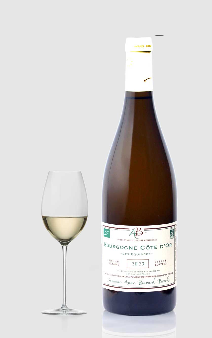 Hvid Burgundy Cte White Les Equinces 2023 - Wineforyou - 2003559028103