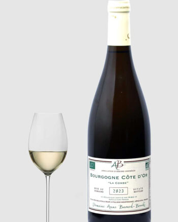 Hvid Burgundy Cte White Combe 2023 - Bavard Brooks Wineforyou  - 2008345828745
