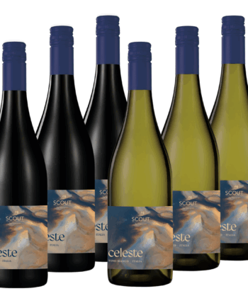 Celeste Scout Smagekasse - Wineforyou