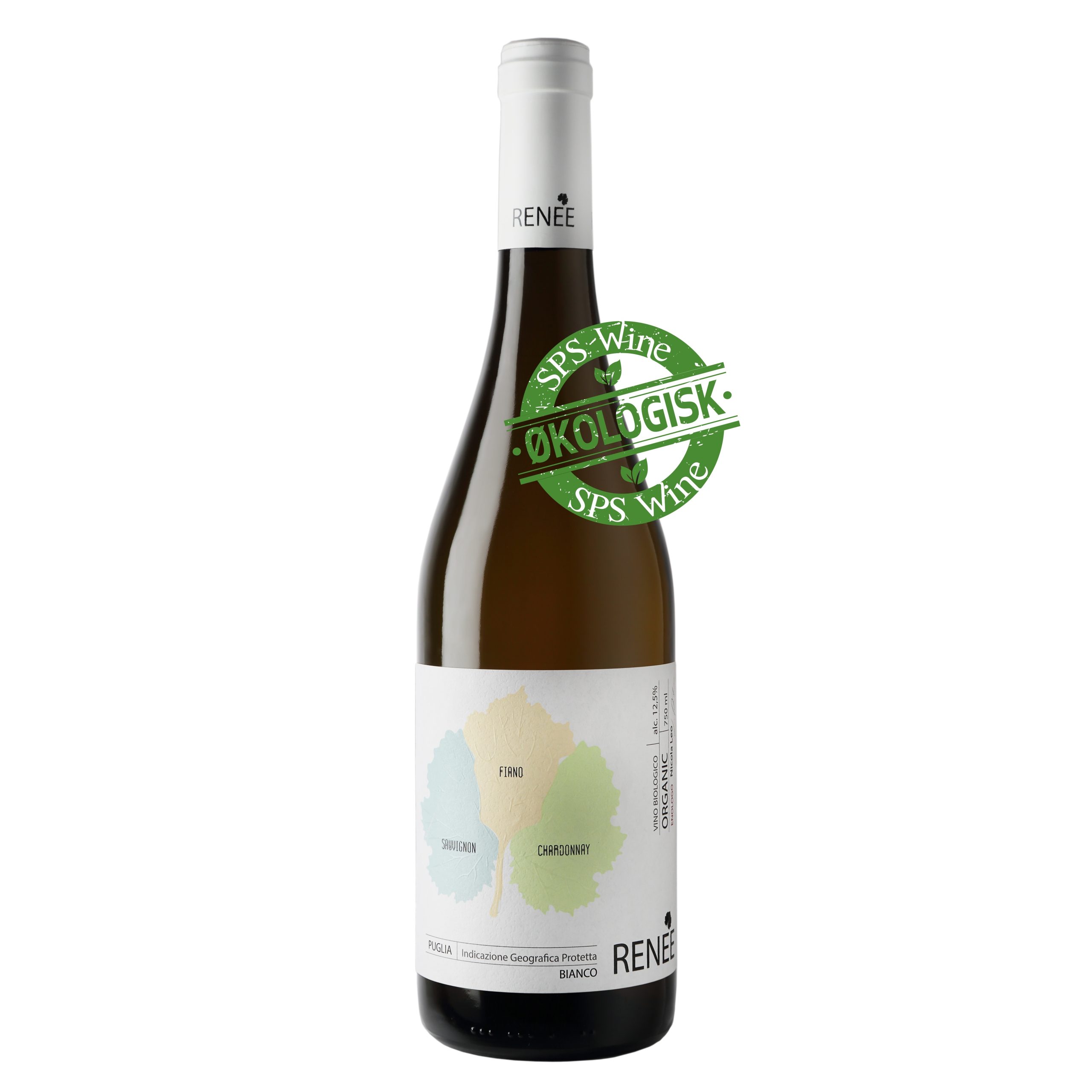 Hvid Paolo Leo Rene Bianco Økologisk Vin 2024 Puglia Italien - Wineforyou