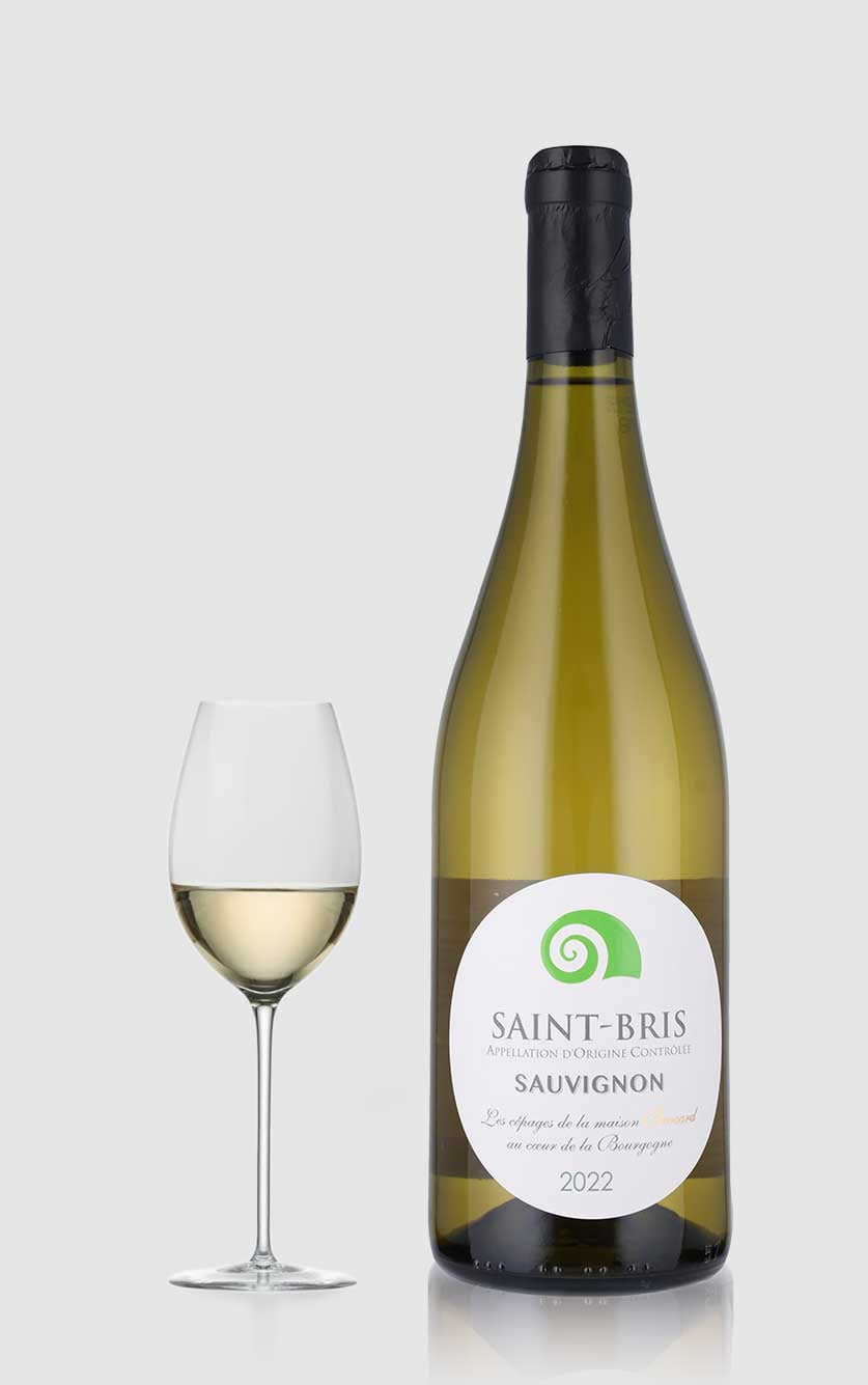 Saint Bris Sauvignon Blanc Domaine Jean Marc Brocard 2022 - Wineforyou - 3436805603011