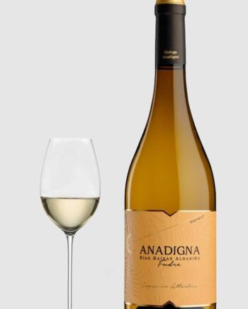 Bodegas Anadigna Fudre Albarino 2021 - Wineforyou  - 8437015357096