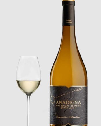 Bodegas Anadigna Sobre Lias Albarino 2023 - Wineforyou  - 8437015357089