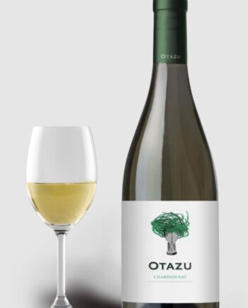 Bodegas Otazu Chardonnay 2021 - Bodegas Borsao Wineforyou  - 2005362599306