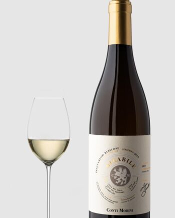 Conti Morini Mirabile Pinot Grigio 2023 - Conti Morini Wineforyou  - 8034125521012