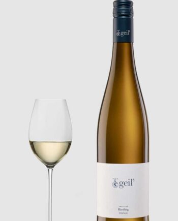 Geils Riesling 2023 Trocken Weingut Geils Rheinhessen - Weingut Geils Wineforyou  - 4260385261359