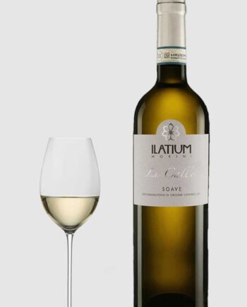 Ilatium Morini Calle Soave 2023 - Latium Morini Wineforyou  - 8033829891186