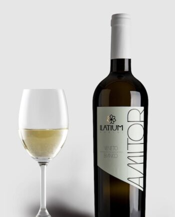Latium Morini Soave Igt 2019 - Latium Morini Wineforyou  - 2008150173061