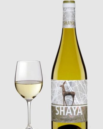 Shaya Shaya 2021 - Bodegas Shaya Wineforyou  - 2008184681860