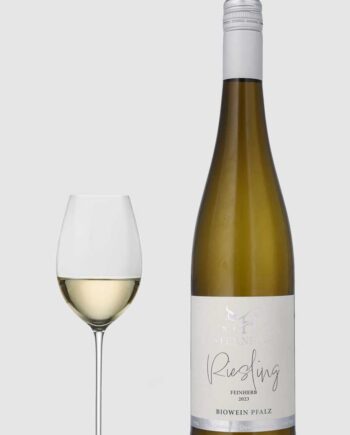 Sternhof Riesling Feinherb Øko Pfalz 2023 - Sternhof Wineforyou  - 5711656013195